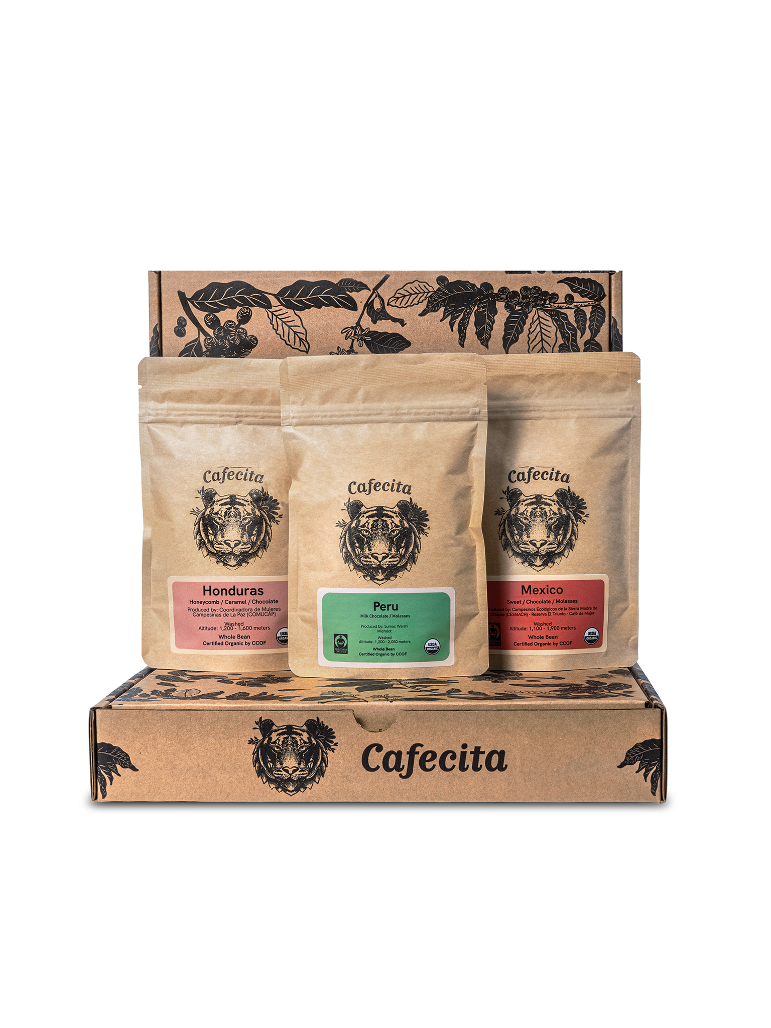 Our Coffees