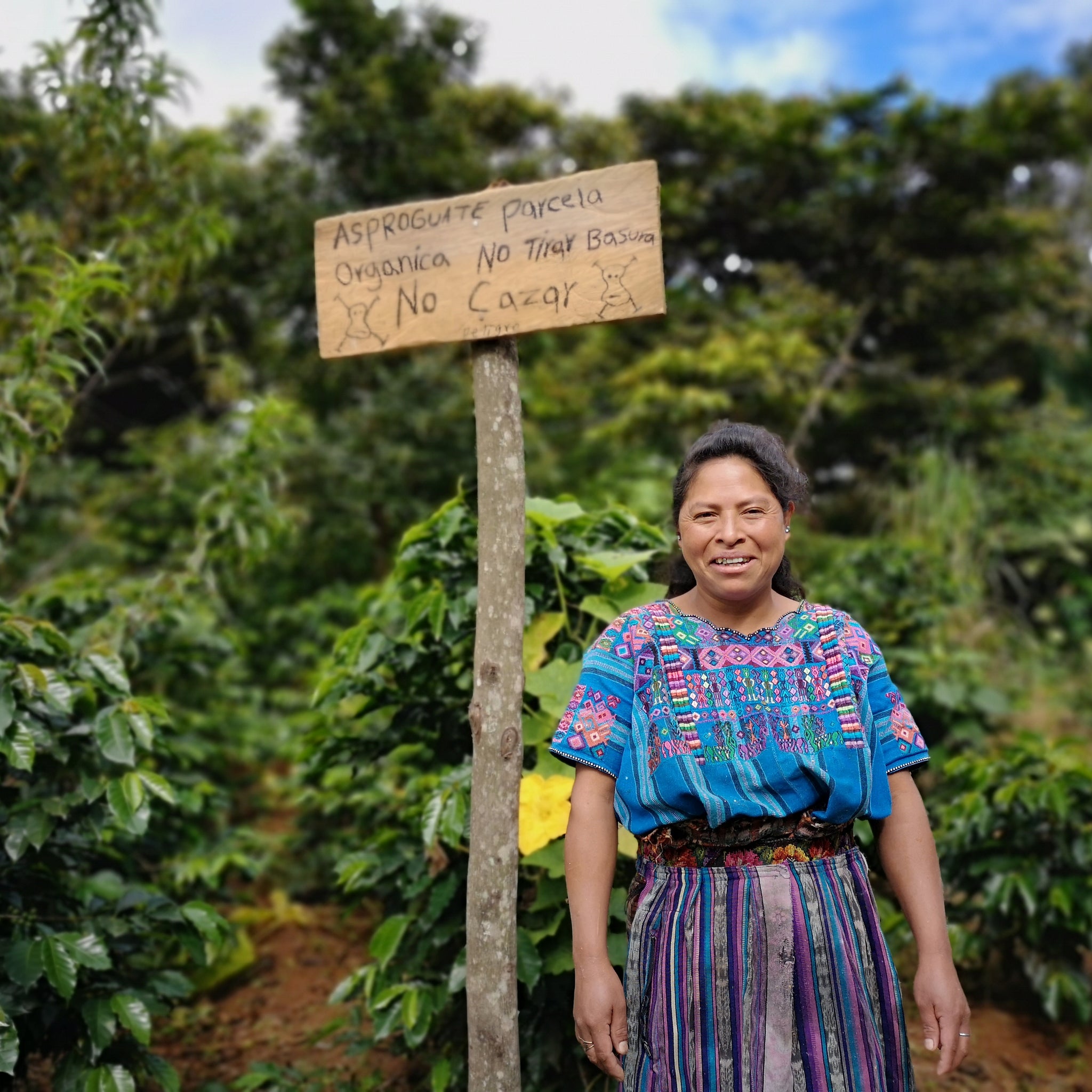 All our coffees are grown using organic regenerative agricultural practices