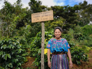 All our coffees are grown using organic regenerative agricultural practices