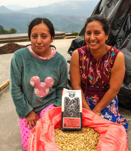 Women Coffee Producers Chiapas Mexico
